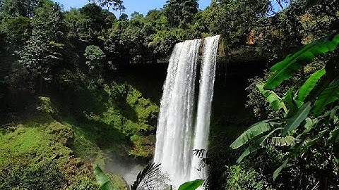 Siêu Phẩm Thác Nước | Vườn Rẫy Đăk Nông #1