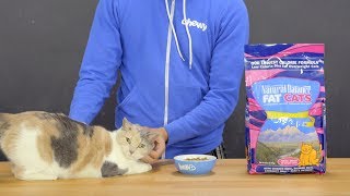 Wondering what to feed cats who are overweight? natural balance fat
cat food is a healthy that can help manage your furry friend’s
weight. desig...