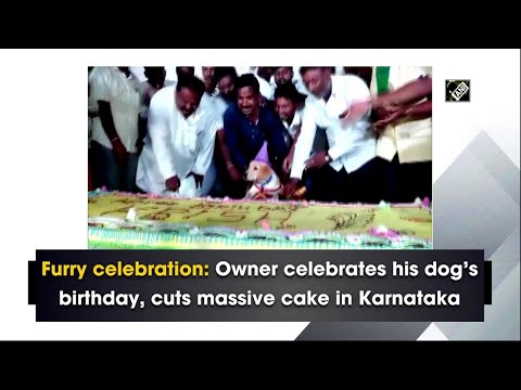 Furry celebration: Owner celebrates his dog’s birthday, cuts massive cake in Karnataka