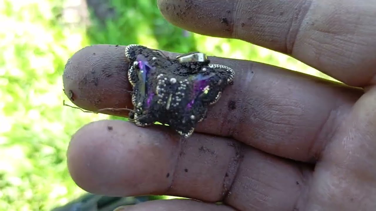 FRANKY BENAVIDES UN BUSCADOR DE TESOROS