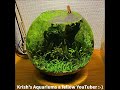 New Bowl Ideas