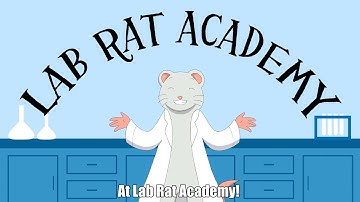 Lab Rat Academy Advertisement
