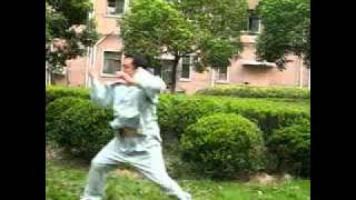 Master Ma Baoguo Hunyuan Xingyi Taiji 26 Form