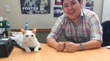 They Were WILD… Until They Found Someone to Trust 🤯 Cat and Human