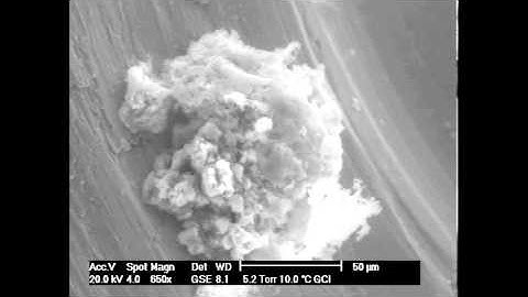 ESEM - Sodium Sulfate (NaSO4) Dehydration Cycle with changing RH - 30 sec - Eric Doehne