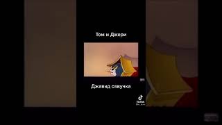 Том и Джерри .Джавид озвучка