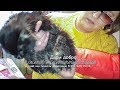 Спасение безлапого кота Находка  которая шокировала ВЕТЕРИНАРИЯ  A disabled cat needs help