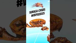 Retropy VR Puzzle - Suruga Crabs #metaquest  &amp; #steam  #vrpuzzles   #indiegame  #gamedev #3d