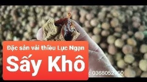 Đặc sản vải thiều Lục Ngạn sấy khô I Dried lychee I Núi Đồi Lục Ngạn