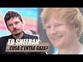 Ed Sheeran, Macklemore e Pink: cosa succede e perché c’entra Gaza?