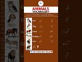 👉 Animal names in English #shorts #learnenglish #vocabulary #englishvocabulary #vocabularywords #new