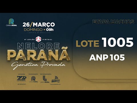 LOTE 1005 ANP 105