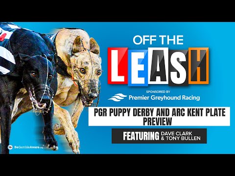PGR Puppy Derby and Arc Kent Plate Preview | Off The Leash | Greyhound Racing Tips