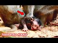 Not Welcome Terrified handD...!! Anna catch bad oN back  Anissa | Anissa cry sad sound.