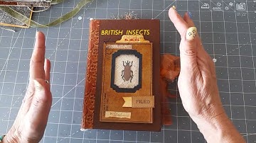 Bug journals - flip through