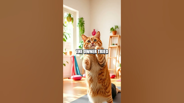The Cat's Unexpected Yoga Session
