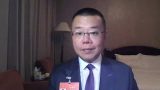 Npc Deputy From Hong Kong Says Electoral Changes Will Deliver Stability