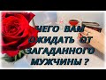 Чего Вам ожидать от загаданного мужчины? Таро Расклад