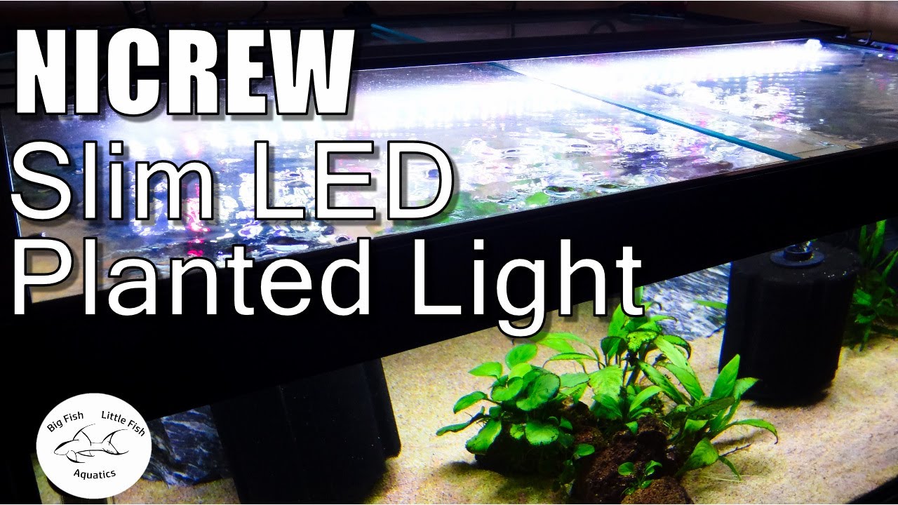 NICREW Slim Planted LED Light Review  Full Spectrum Aquarium LED 