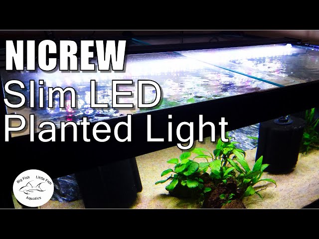 NICREW ClassicLED Aquarium Light – Nicrew Aquarium