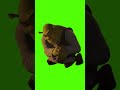4k Shrek Rizz Meme Green Screen Greenscreen Shrek