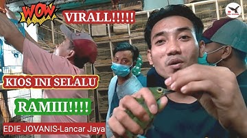 VIRAL|| Harga Burung Pasar Burung Pramuka Kios EDIE JOVANIS Lantai Dasar