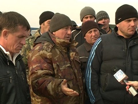 Перевозчики свеклы: конфликт в Волоконовке