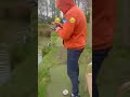 #angel #fish #fishing #niederlande #nl #teich #bigfish #enschede #hobby #wasser #japan #fry #fische