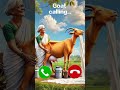 Goat Calling 咀沛サ笨ィ Ringtone New Calling Cute Youtube Youtubeshorts Trending Viral Yt Goat Calling 咀沛サ笨ィ Ringtone New Calling Cute Youtube Youtubeshorts Trending Viral Yt