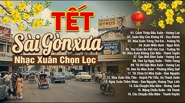 20 BÀI NHẠC XUÂN XƯA - Nhạc Xuân Xưa Bất Hủ - Nhạc Tết Xưa Hải Ngoại Hay Nhất