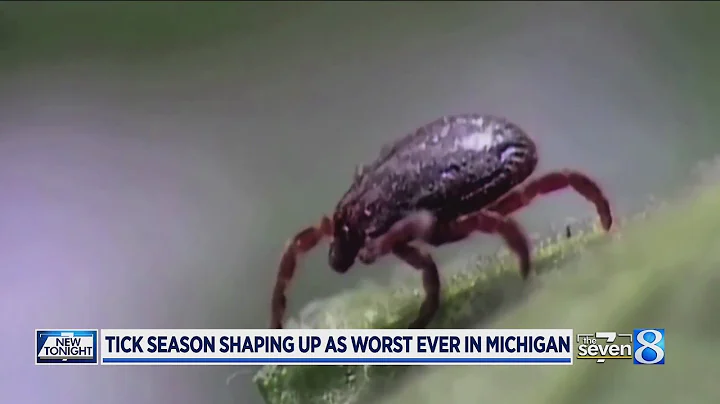 Tick season shaping up as worst ever in West Michigan