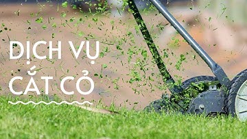 Dịch vụ cắt cỏ tại TPHCM, Bình Dương, Đồng Nai uy tín chuyên nghiệp | dichvucatco.com | GoClean