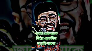 জান তোমাকে নিয়ে একদিন মক্কাই যাবো ??shorts আব্রারুল_হক_আসিফ