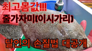 How to fillet Raw fish(Roughscale sole).