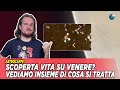 Scoperta vita su Venere? Vediamo insieme di cosa si tratta