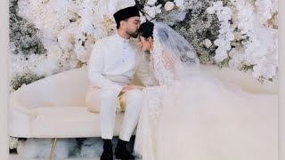 Majlis Resepsi Perkahwinan Afifah Nasir & Syed Hariz