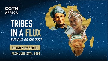 Tribes in a Flux