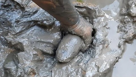 Catch perch and snakehead fish | Catch perch and snakehead fish