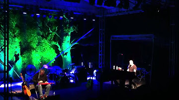 Marc Cohn "True Companion" Minneapolis Zoo (07/14/12)