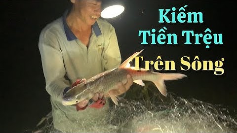 Một đêm may mắn ngư dân kiếm tiền triệu với cái nghề lưới ngâm trên sông | Cù Lao Dung Vlogs #475