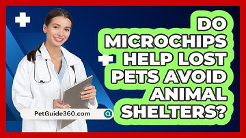 Do Microchips Help Lost Pets Avoid Animal Shelters?