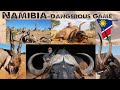 Hunting dangerous game  namibia take two