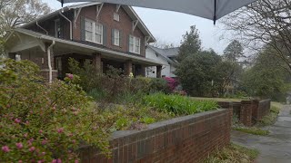 Rain Walk Through North Carolina Neighborhood with Spring Blooms | Nature Sounds for Sleep and Study