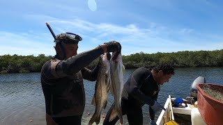 Ya salió para los callitos de róbalo