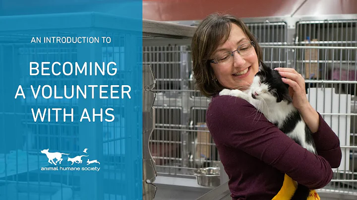 An introduction to volunteering at Animal Humane Society - DayDayNews