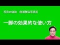 写真の秘訣　一脚の効果的な使い方