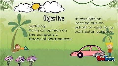 Audit- investigation