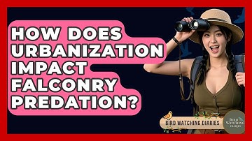 How Does Urbanization Impact Falconry Predation? - Bird Watching Diaries