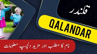 QALANDAR name meaning in urdu & English with lucky number | Islamic Baby Boy Name | Ali Bhai