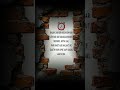 True Line | Reality Of life